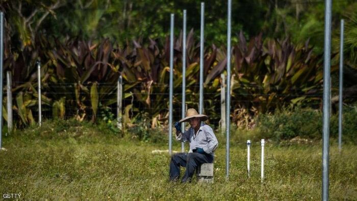 ترامب يساعد المزارعين الأميركيين بـ19 مليار دولار