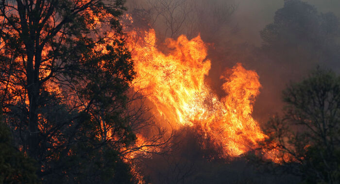 حرائق الغابات تكبد قطاع السياحة الأسترالية 690 مليون دولار