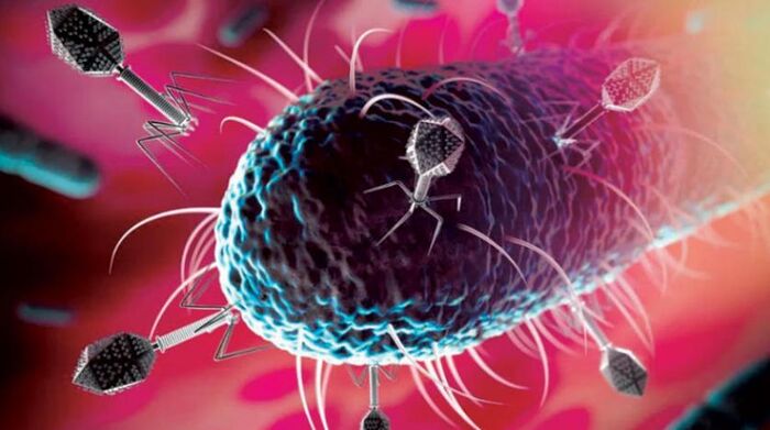 هل نحن مستعدون لاستقبال «الفيروسات النائمة»؟