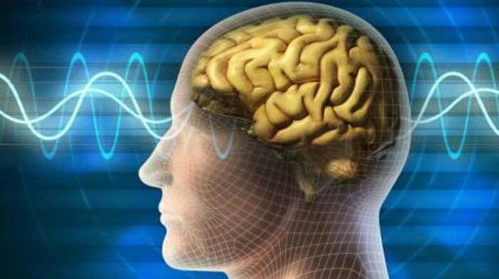 اكتشاف دماغ غامض في جمجمة مقتول!