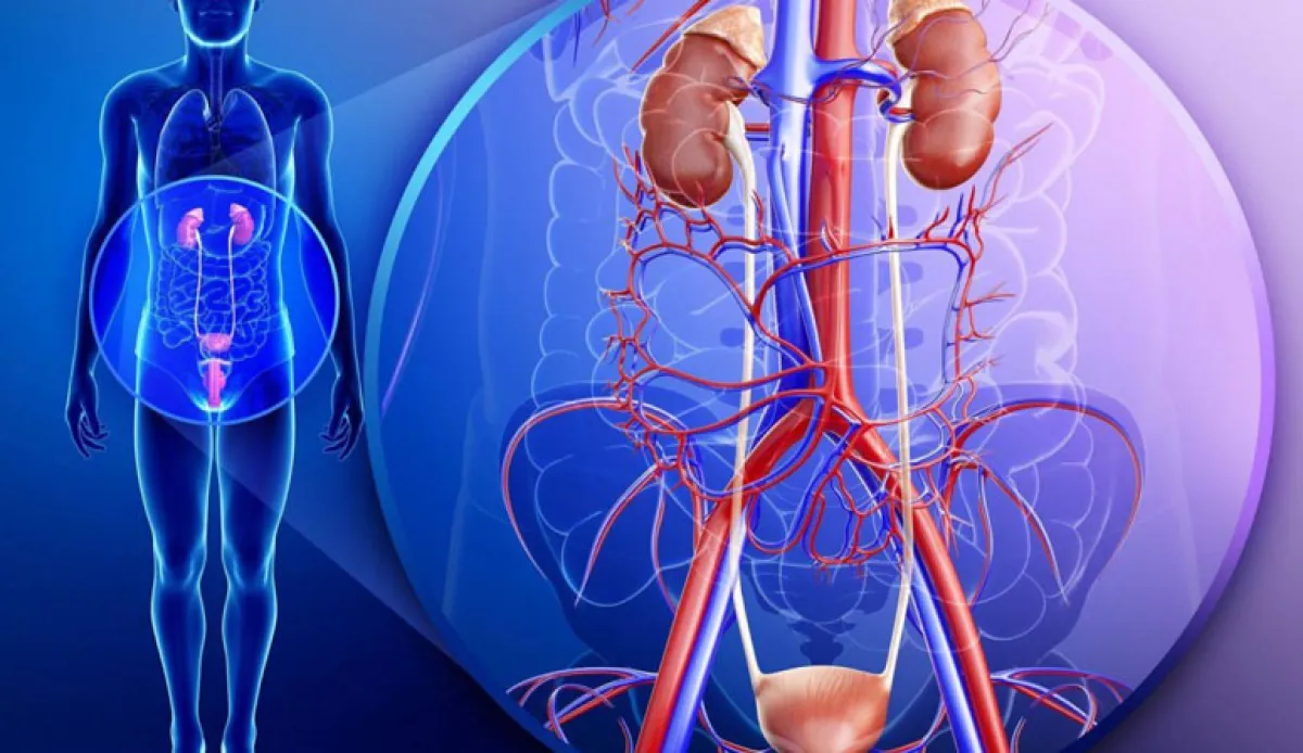 ما تأثير الصيام على مرضى التهاب المسالك البولية؟