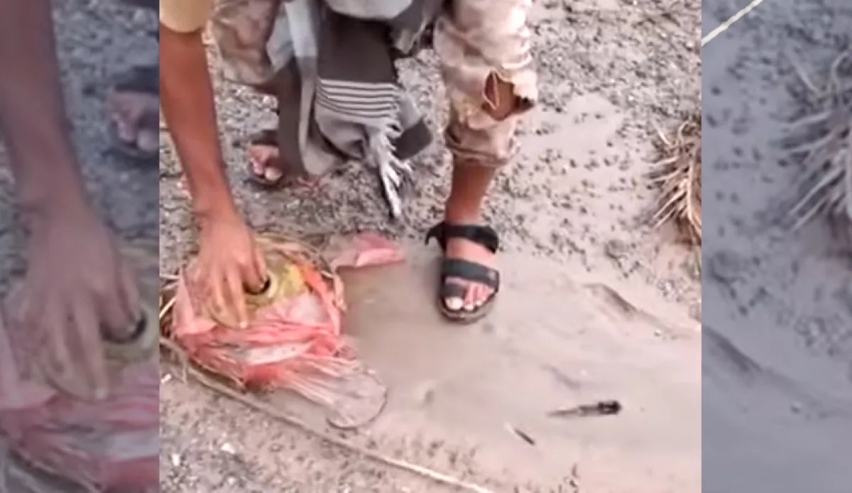 المرصد اليمني للألغام: مليشيا الحوثي تتعمد زراعة الألغام في مجاري السيول لاستهداف المدنيين