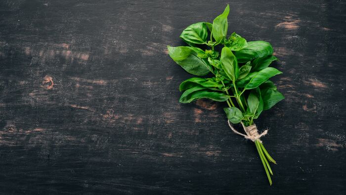 ما هي علاقة الريحان بمكافحة السرطان؟