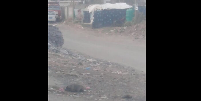 اندلاع مقاومة شعبية مسلحة في مناطق حوثية (فيديو)