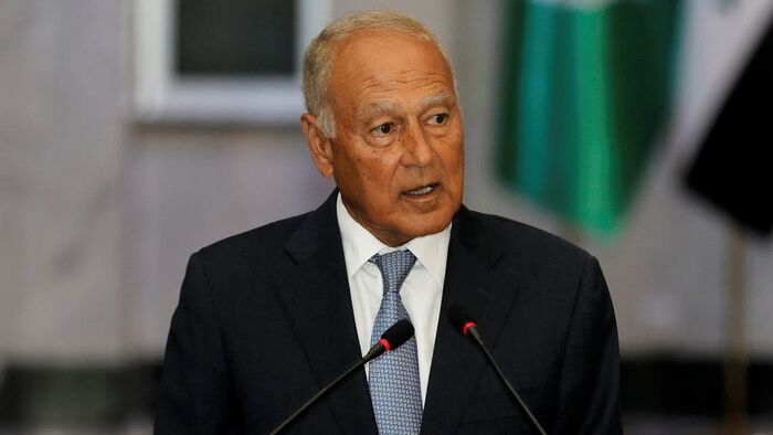 أبو الغيط: جيران بالإقليم ينخرطون بممارسات تضر أمننا