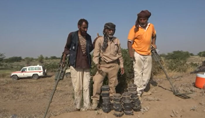 تفكيك عشرات الألغام الحوثية زرعتها المليشيا في المزارع بمديرية حيس (فيديو)