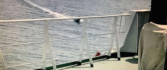 إحباط عملية إرهابية حوثية في بحر العرب