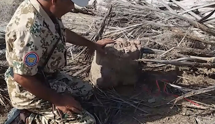 اكتشاف أخطر شبكات الألغام الحوثية مموهة وسط تجمعات سكانية جنوب الحديدة (فيديو)