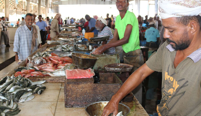 ارتفاع أسعار الأسماك في عدن بجنوب اليمن يفاقم معاناة السكان (تحقيق)