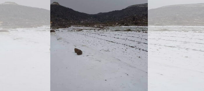 تحذيرات من موجة صقيع غير مسبوقة تضرب اليمن