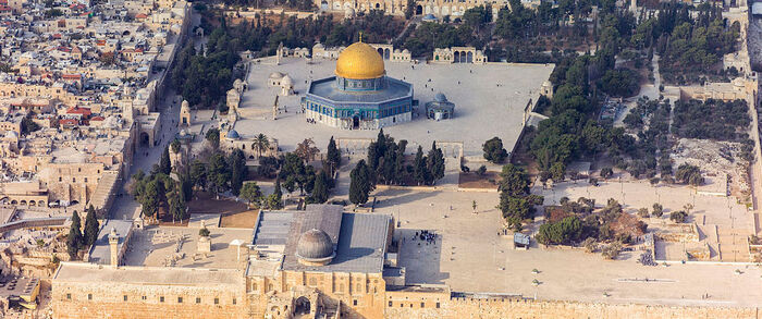 الجامعة العربية: سندرس خطة ترمب بشكل مدقق