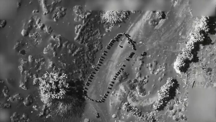 ترامب ينشر مقطعاً لغارة أمريكية على تجمع للحوثيين