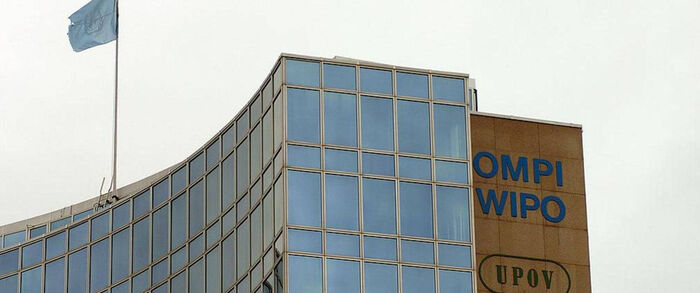 الصين تزيح الولايات المتحدة عن عرش براءات الاختراع