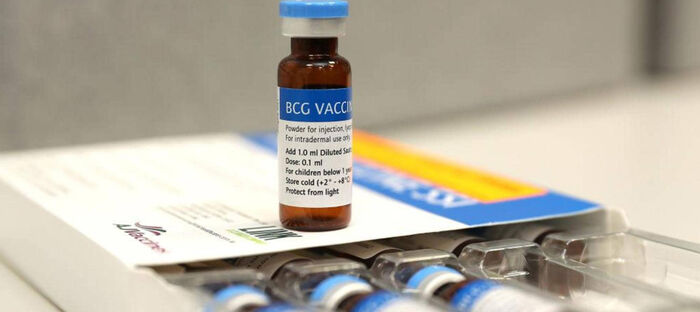 دراسة تؤكد: لقاح السل يقي من أعراض  كورونا