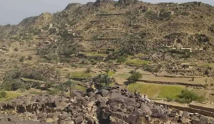 القوات الحكومة تحبط هجوم حوثي غربي تعز