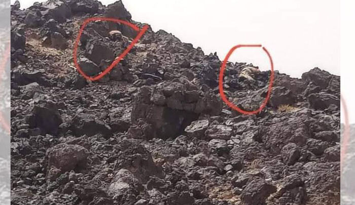 مأرب.. صد هجوم حوثي واسع وتكبيدهم خسائر فادحة في الأرواح والعتاد