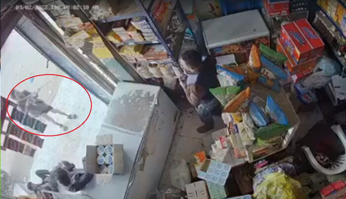 فيديو.. الحوثي يمارس الإرهاب على المواطنين في الشوارع