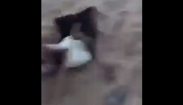 عصابة حوثية تقتل وتصيب 5 مدنيين حاولت نهب أرضهم بالقوة (فيديو)