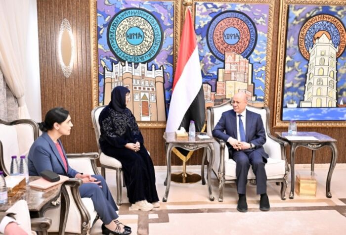 مجلس القيادة: السلام في اليمن مرتبط بدعم الحكومة وردع الحوثيين