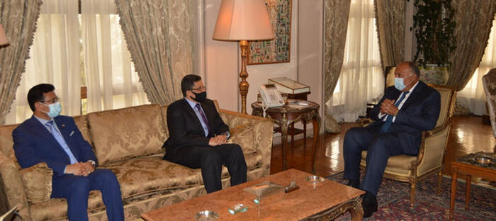 مصر تؤكد دعم مسار الحل السياسي باليمن وفقًا للمرجعيات