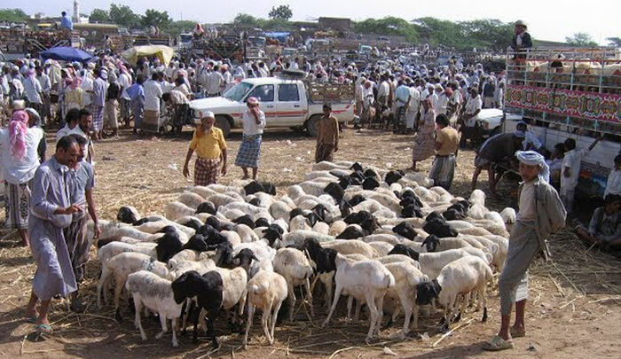 مقتل وإصابة عناصر حوثية أثناء مداهمتهم سوقًا في بيت الفقيه بالحديدة