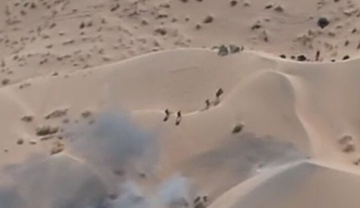 الجيش اليمني يواصل معركة التصدي للحوثيين ويحقق تقدمًا في مأرب والجوف