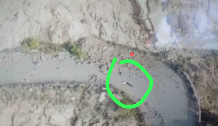 أبين.. نفوق عدد من الثروة الحيوانية نتيجة انفجار لغم حوثي في ثرة