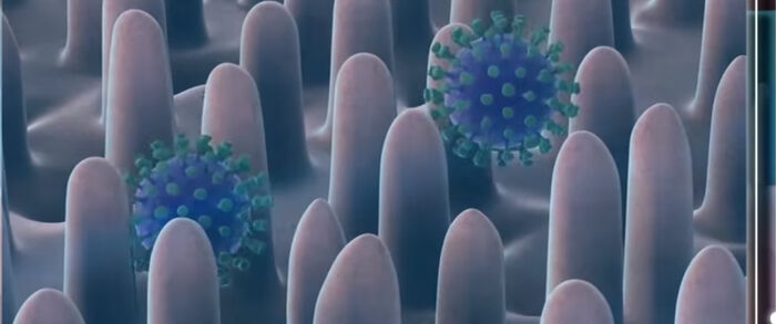 اكتشاف نقطة ضعف فيروس كورونا.. فيديو