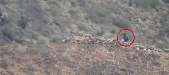 شاهد مقتل قيادات وعناصر من الحوثيين في الساحل الغربي