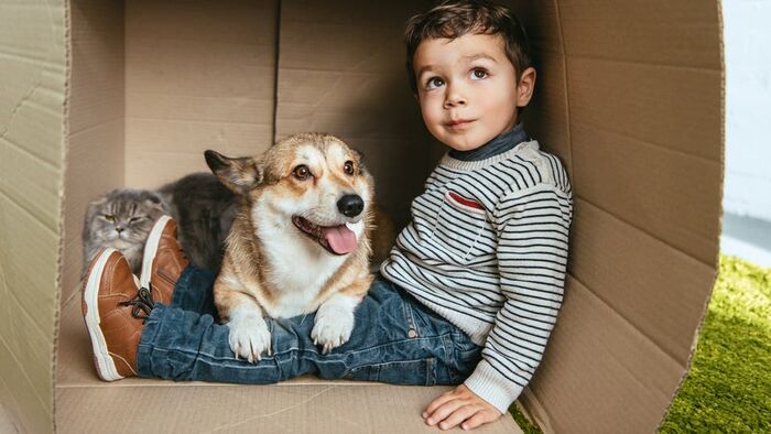 لصحة نفسية أفضل «رَبِّ كلباً»