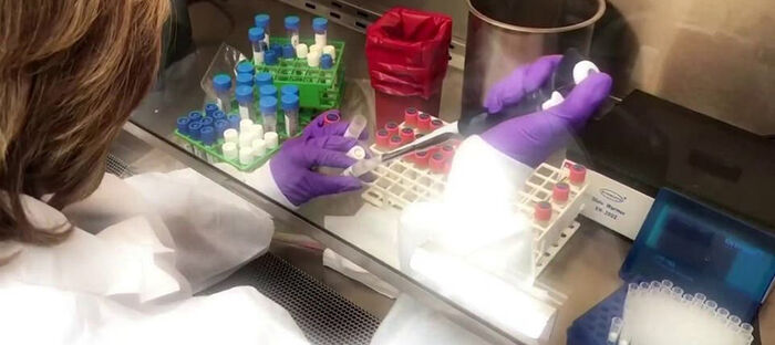 خبيرة أمريكية تكشف "نقطة ضعف" في كل لقاحات كورونا