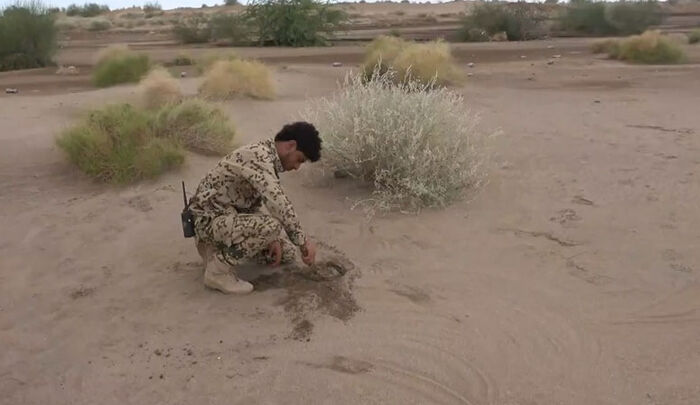 نزع وتفكيك ألغام فردية حوثية محرمة دوليا وزرع أشجار بدلاً عنها