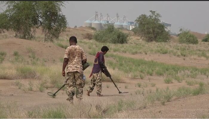 تفكيك حقل ألغام زرعه الحوثيين شرق مدينة الحديدة (فيديو)