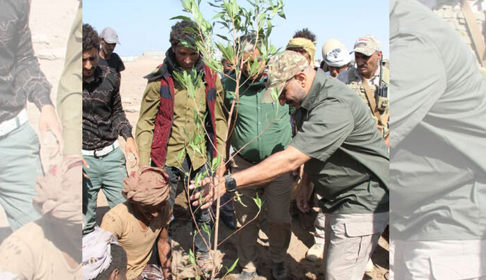العميد طارق صالح يُدشن مشروع الحزام الأخضر لمدينة المخا