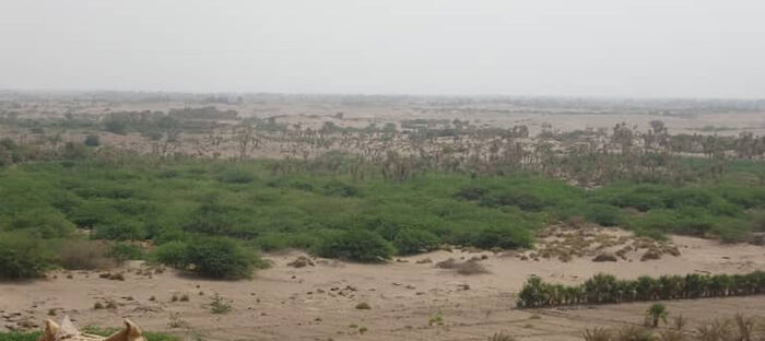 الحوثيون يواصلون خرق الهدنة ويقصفون منازل المواطنين في الجبلية