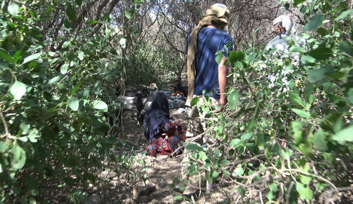 موجة نزوح واسعة من قرى محررة غرب تعز جراء القصف الحوثي (صور)